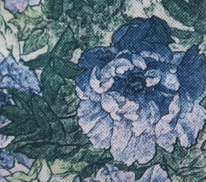 轉(zhuǎn)移印花滌綸紡粘無紡