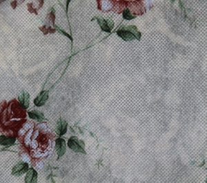 轉(zhuǎn)移印花滌綸紡粘無(wú)紡布