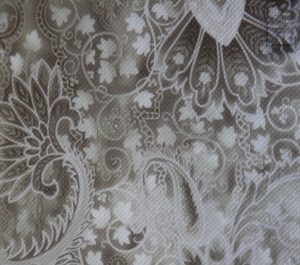 轉(zhuǎn)移印花滌綸紡粘無(wú)紡布